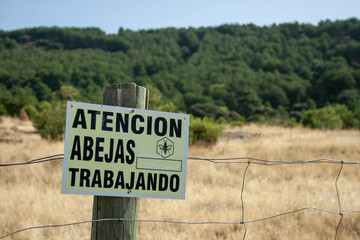 Attention bees working! Bees working in their hives at the end of summer in the mountains and forests of Castilla y Le&oacute;n in Spain