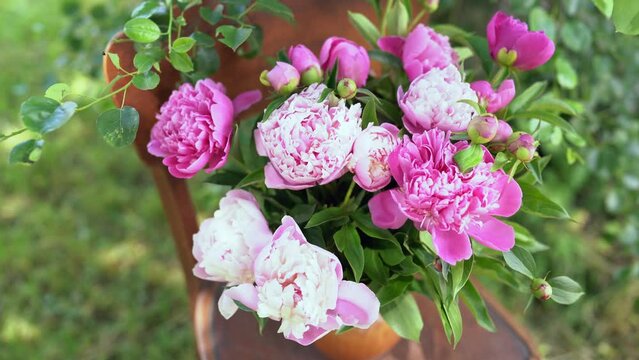 Beautiful fresh cut bouquet of flowers close-up. Peony flower on brown wooden stool in summer garden. Pink white peonies stand in vase in the park near a tree branch on a background of green grass