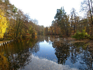 Late autumn. Fall season and picturesque landscape with pond. Yellowed leaves and trees in late autumn on the banks of river or lake. City park for walking. Golden autumn season