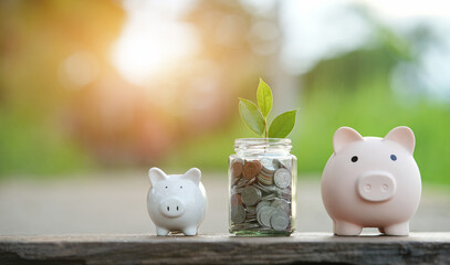 Saving money by putting a coin into piggy bank  on nature background
