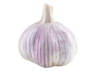 Obraz premium garlic bulb. png transparent background