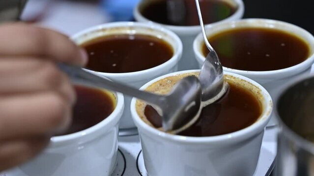 Professional barista tasting different types of coffee in cup tasters. Coffee degustation