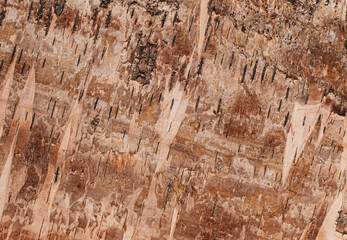 
Baumstruktur ganz nah fotografiert