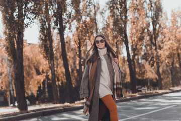 Photo of nice long hairdo lady walk in park wear coat sweater trousers scarf glasses
