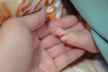 Parent holding in the hands feet of newborn baby, The love and generosity of a mother for her child.