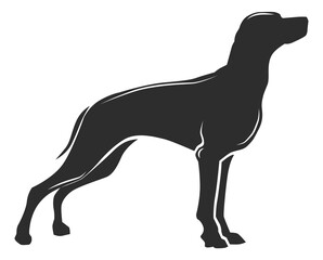 Black dog silhouette. Standing hound icon. Pet logo