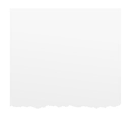 Paper scrap. Blank sheet torn on bottom edge. White page