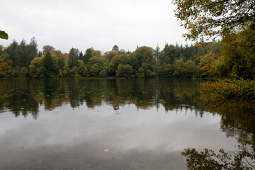 lake in forest with reflection