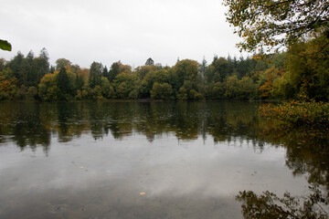 Fototapeta na wymiar lake in forest with reflection