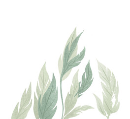 Green leaves. Raster hand drawn illustration
