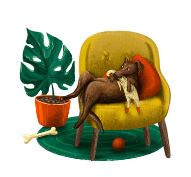 Dog sleeping in an armchair with her rubber chicken toy. Raster hand drawn illustration