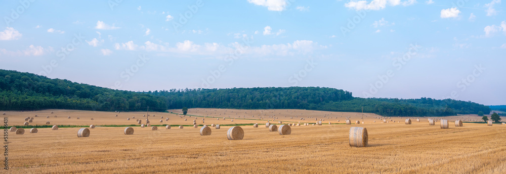 Canvas Prints lorraine landscape in the north of france with straw bales under blue summer sky