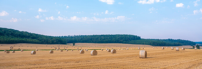 lorraine landscape in the north of france with straw bales under blue summer sky