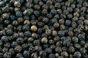 pimienta negra entera para sazonar comidas