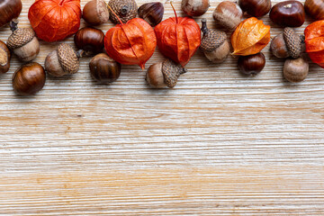 Autumn top border on wooden background. Above vieuw with chestnuts, acorns, and orange physalis laterns. Copy space.