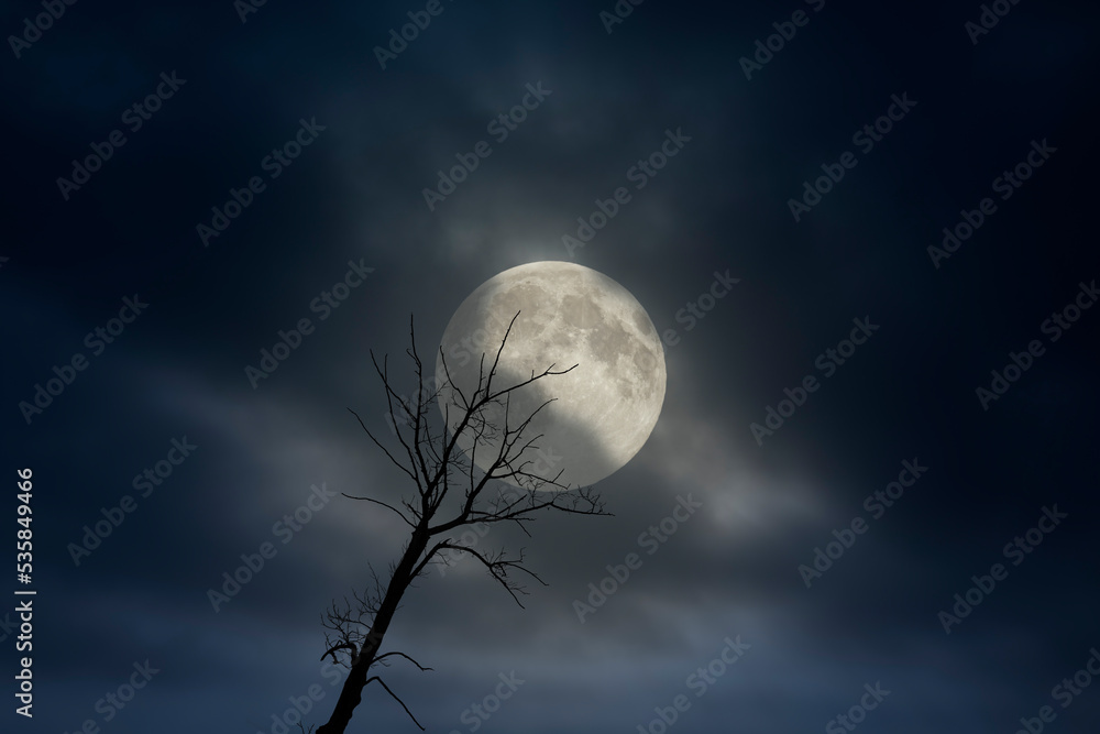 Poster Cloudy full moon night