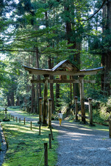 福井県勝山市　平泉寺白山神社（苔寺）の鳥居