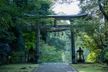 福井県勝山市　平泉寺白山神社（苔寺）の鳥居