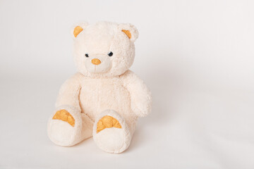 Sweet teddy bear, space for text for your design