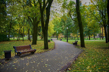 autumn in the park