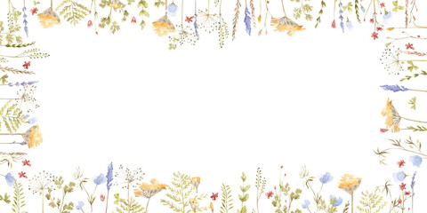 Beautiful colorful blooming wild flowers isolated on a white background. Flower frame with a text space.