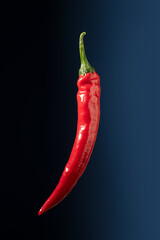 Hot Сhilli pepper floating on a dark blue background. Large scale vertical photo.