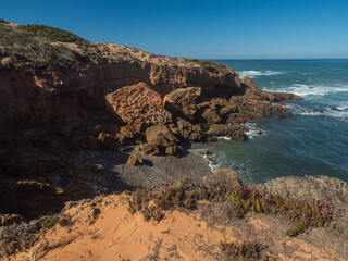 View of wild Rota Vicentina coast with ocean waves, sharp rock and green and red leaves of sour fig flower, Carpobrotus edulis near Vila Nova de Milfontes, Portugal. Sunny day, blue sky.