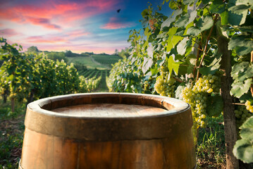 Beautiful sunset over Tuscan vineyards.