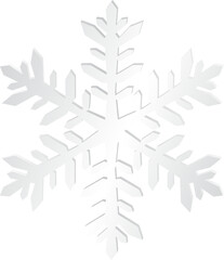 Big beautiful complex paper Christmas snowflake in white color