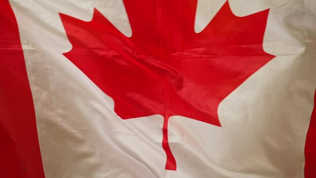 Close-up Canadian flag shaking in slow motion. National flag flattering with no people. Pride and patriotism concept