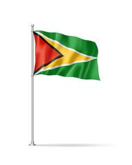 Guyanese flag isolated on white