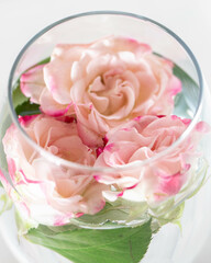roses in a wine glass