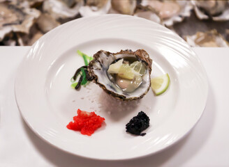 Auf einem Teller liegt eine geöffnete Auster mit Kaviar und Zitrone.