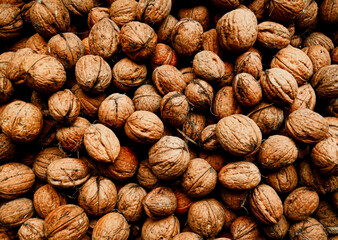 Beautiful close-up of a walnut