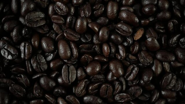 Monochromatic brown coffee bean texture. Coffee beans filmed with natural light. Pan over in real time motion