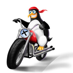 pinguino in motocicletta