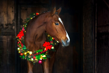 Horse in New year decor - 535869288