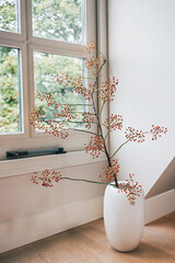 Ilex red berry tree branch in a big vase on the floor on a white wall background next to window with copy space. Minimal winter or autumn decor wallpaper. Floral botany postcard. Christmas theme.