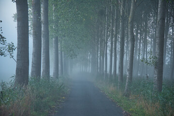 Nebelstimmung im Val d'Oise in frankreich