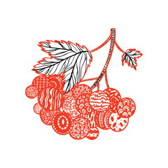 Viburnum Hand Drawn Sketch. Vector Illustration of Hand drawn Plant. Nature Berry.