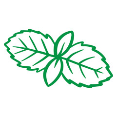 mint leaves hand drawn illustration for healthy food design element. colorful vegetable and fruit theme