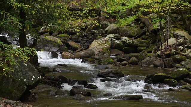 Cascades in the Middle prong of the Little Pigeon River in Great Smoky Mountains, TN, USA (4K/24p, ProRes HQ, 10-bit)