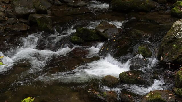 Cascades in the Middle prong of the Little Pigeon River in Great Smoky Mountains, TN, USA (4K/24p, ProRes HQ, 10-bit)