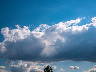 Clouds with a hint of sun rays in the blue sky, above the tip of a coniferous tree