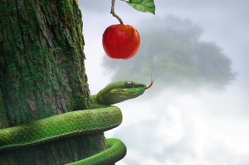Snake on a tree with an apple fruit. Forbidden fruit concept religious theme. - obrazy, fototapety, plakaty