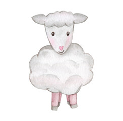 Lamb Sheep Watercolor Illustration. Hand drawn cartoon young sheep set isolated. Cute illustration of animal for baby style design