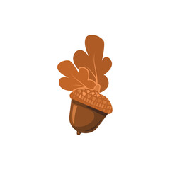 Acorn vector illustration, acorn flat icon 