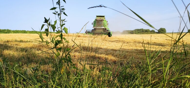 Deutz Fahr combine harvester in the field