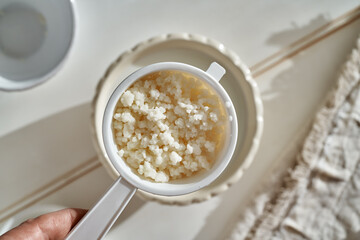 Kefir grains in a white sieve, top view