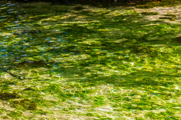 Beautiful Cenote cave with river turquoise blue water texture Mexico.